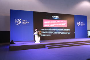 北京飛搜科技閃耀亮相2018年貴州數博會，引領信息技術咨詢服務新浪潮